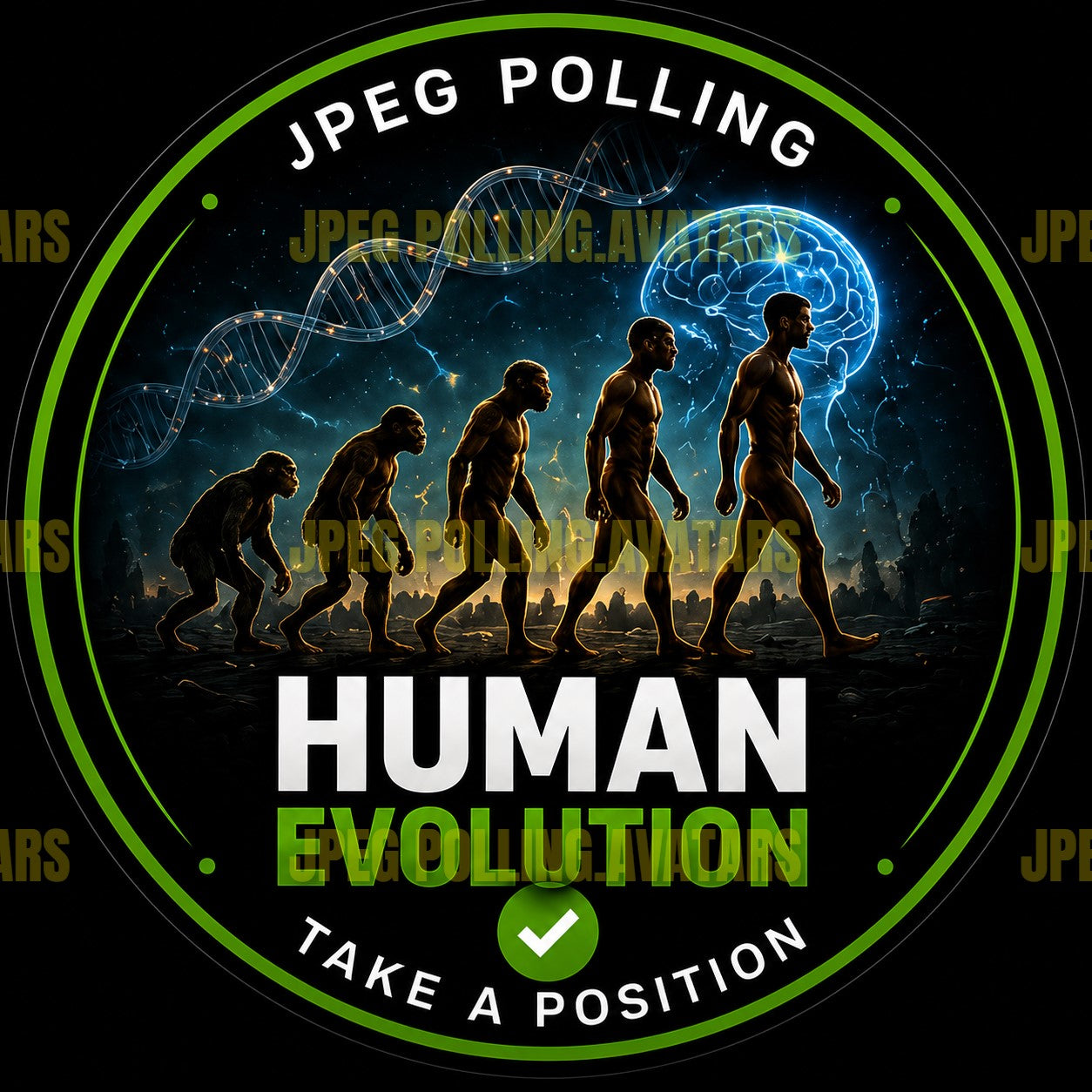HUMAN EVOLUTION